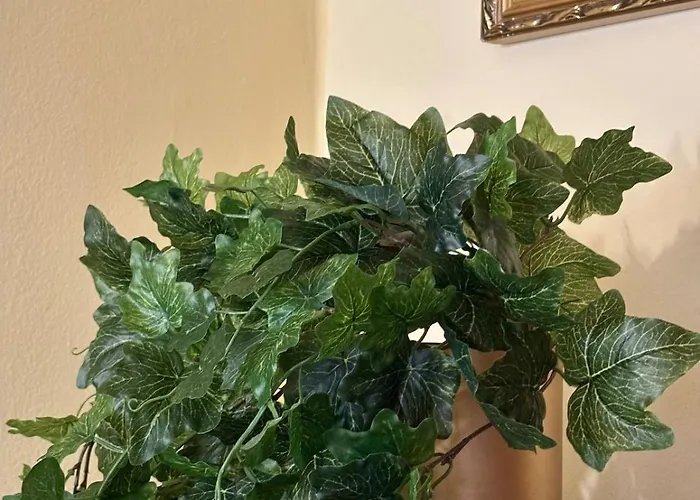 Wonderful * كومو